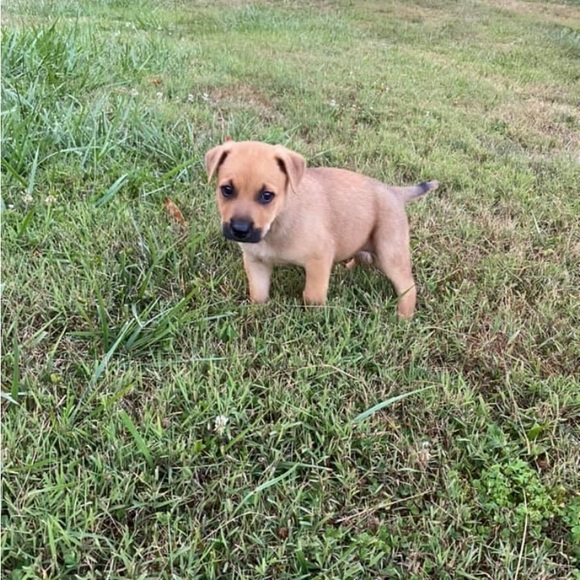 Meet your Posher, Katie - Picture 7 of 9